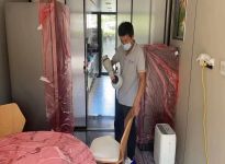 甲醛的危害及清除方法？